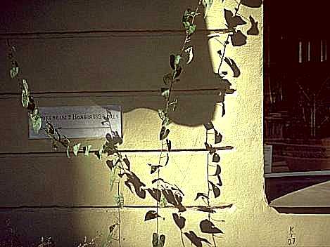    1 Flood level on 7 November 1824 (Griboedova)              